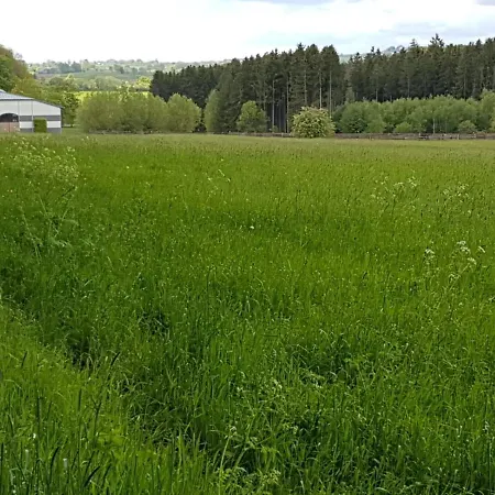 Au Petit Ruisseau Апартаменты Lontzen