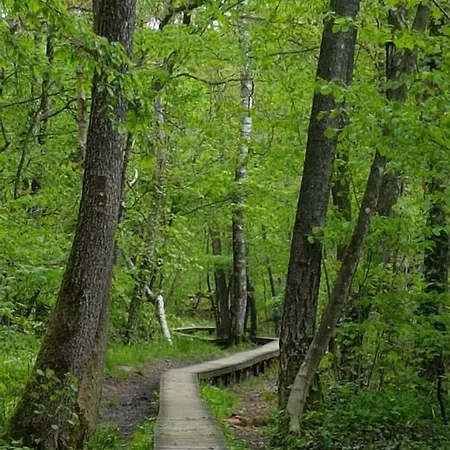Апартаменты Au Petit Ruisseau